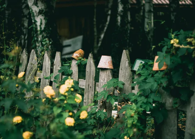 Natura — fotografia Edyty Wojdyło, kadr 43
