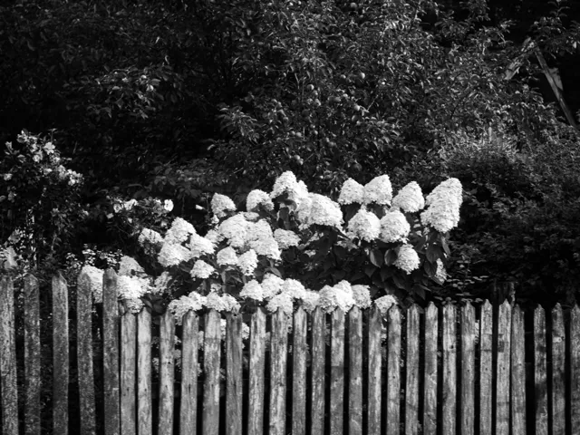 Natura — fotografia Edyty Wojdyło, kadr 51