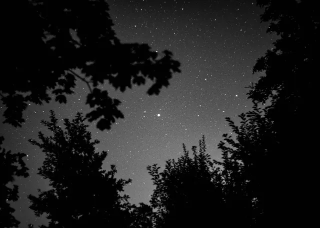 Natura — fotografia Edyty Wojdyło, kadr 54