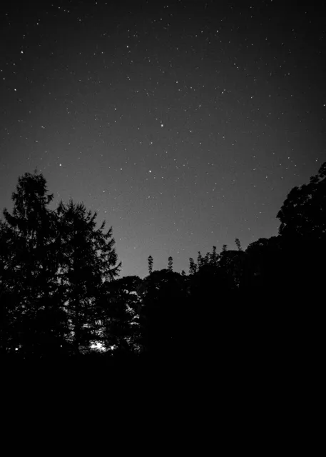 Natura — fotografia Edyty Wojdyło, kadr 55