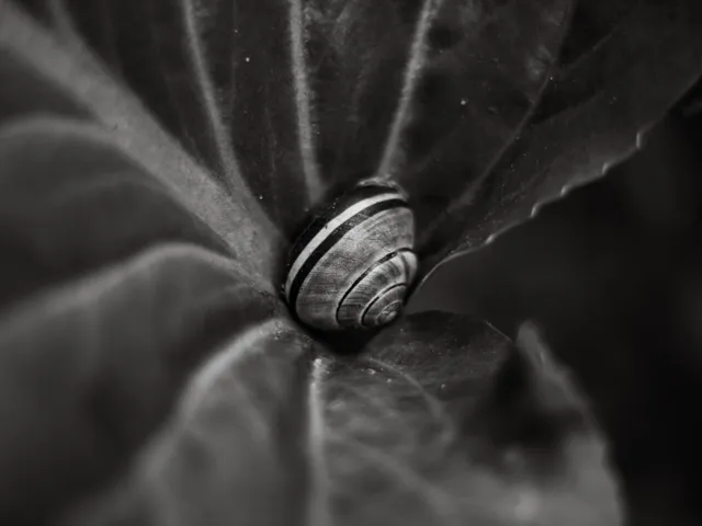 Natura — fotografia Edyty Wojdyło, kadr 56